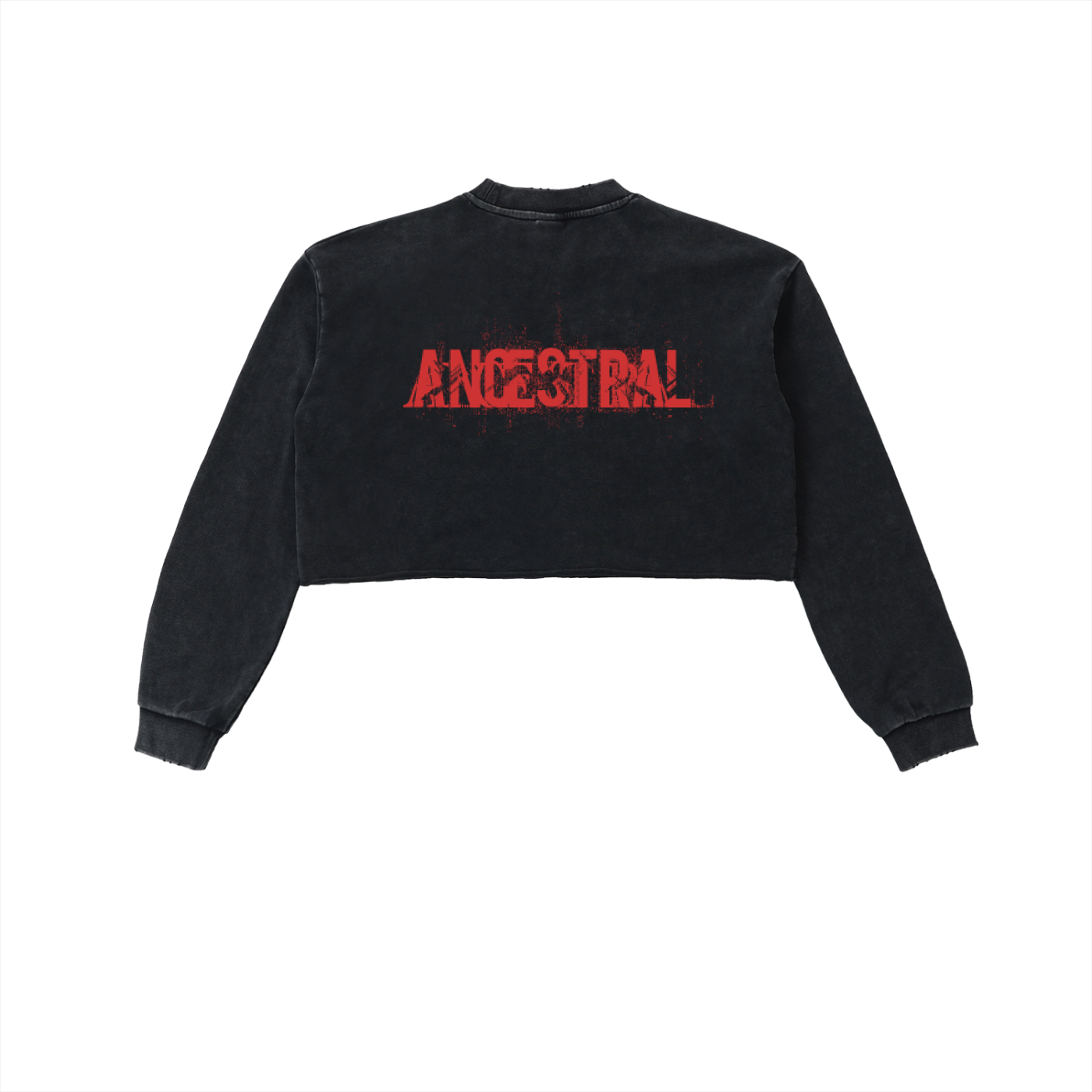 Snow Washed Ancestral Cropped Sweatshirt